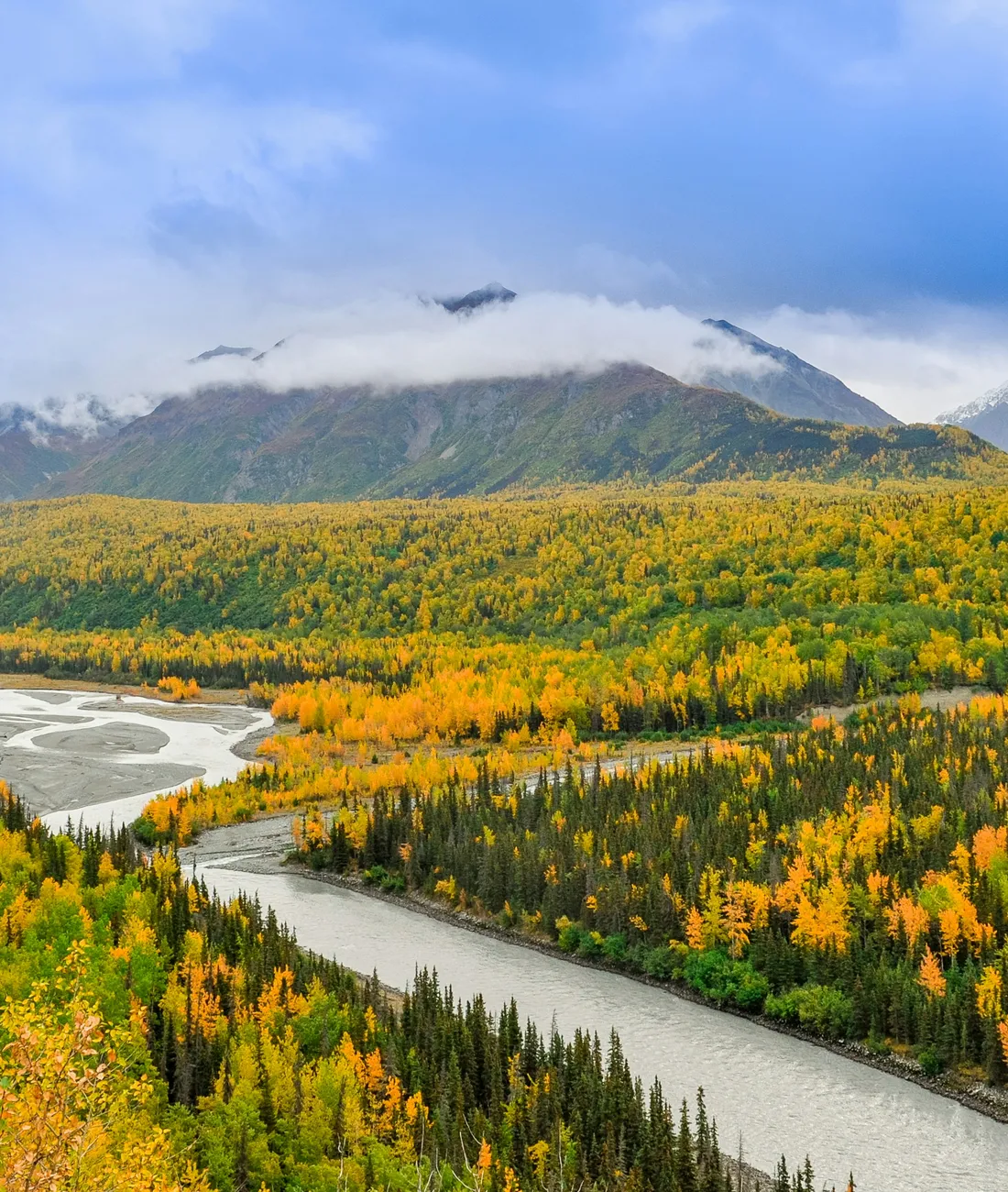 Autumn forest, braided river, and cloud-covered mountains in Alaska
